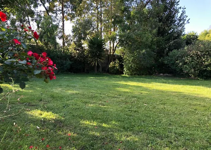 Nocleg ze śniadaniem Le Terre Cotte 3*