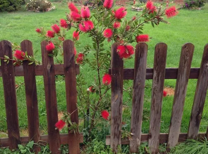 Panzió Le Terre Cotte Decimomannu